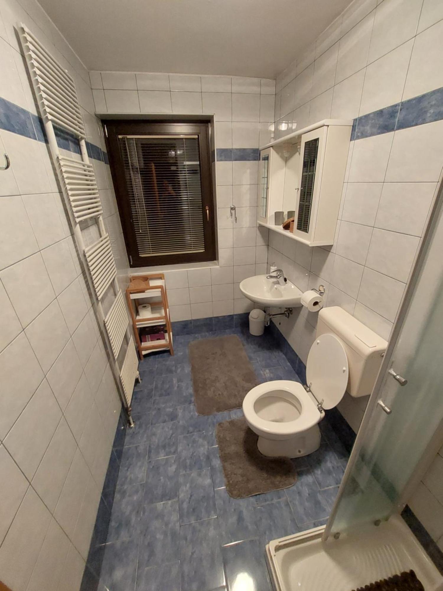Apartmaji Vesna Bohinj Bilik gambar