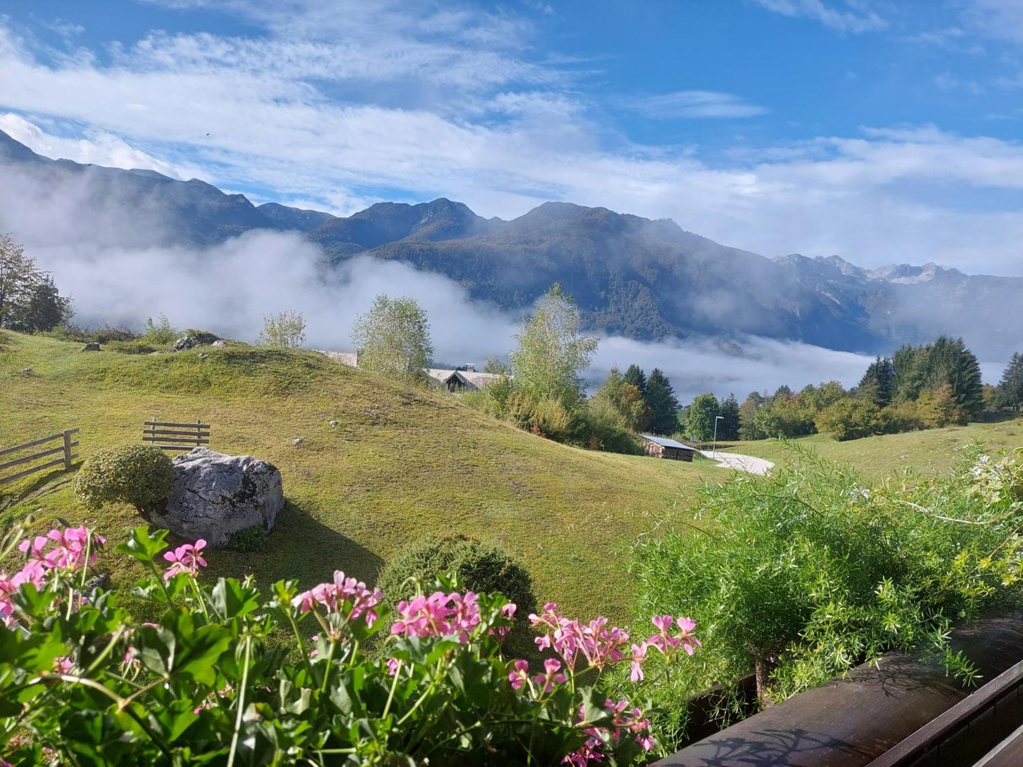 Apartmaji Vesna Bohinj Luaran gambar